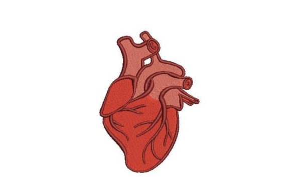 Anatomically Correct Heart Machine Embroidery Design Review