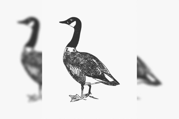 Canada Goose Branta Canadensis Embroidery Design Review