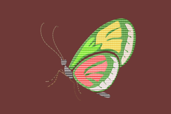 Green Strong Butterfly: A Designer’s Sweatshirt Review