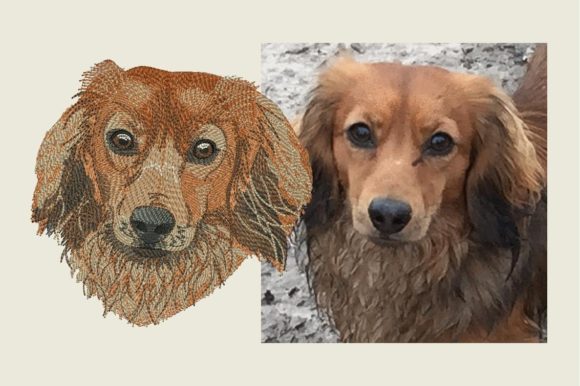 Longhaired Dachshund: An Embroidery Design for Real Use